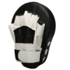 Focus Mitts & Pad – Precision Training Essentials