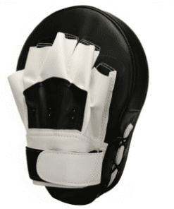 Focus Mitts & Pad – Precision Training Essentials